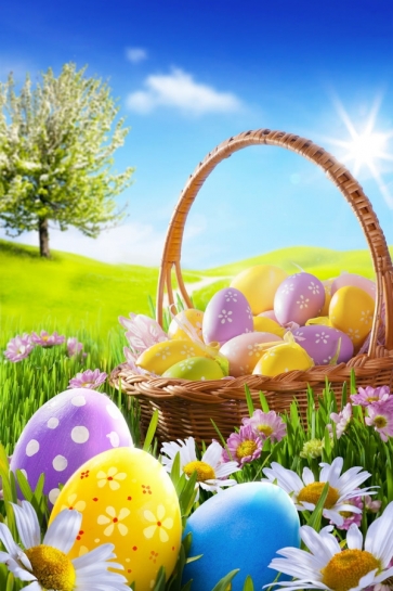 Easter Eggs in Basket on Grassland Flowers Vinyl Photography Easter Backdrops