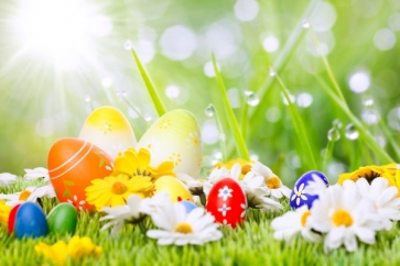 Dewdrop under Sunshine Easter Eggs Flowers on Grassland Vinyl Photo Backdrops