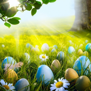 Easter Eggs Flowers on Grassland Photography Studio Background