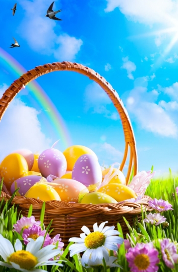Easter Eggs in Basket on Flowers Grassland Rainbow Clouds Photoshoot Background