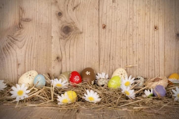 Easter Eggs on Straw Wood Floor Wall Photography Studio Background