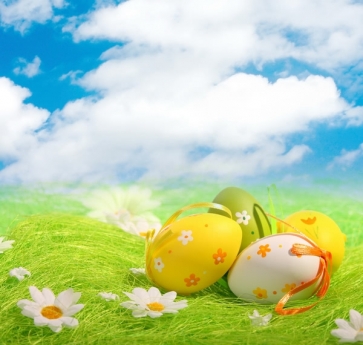 Easter Eggs Flowers on Grassland Blue Sky White Clouds Vinyl Photography Backdrops