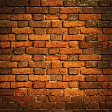 Vinyl Background Retro Vintage Red Brick Wall Backdrop