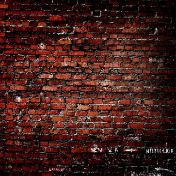 Attractive Retro Vintage Red Brick Wall Backdrop Custom Background