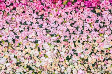 Pink Yellow White Rose Flower Wall Backdrop Wedding