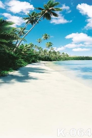 Summer Holiday Hawaiian Seaside Beach Backdrop Background
