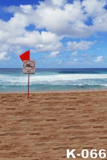 Summer Sandy Beach Seaside No Swimming Hawaiian Backdrop