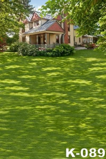 House on Green Grassland Scenic Background Drops for Photography
