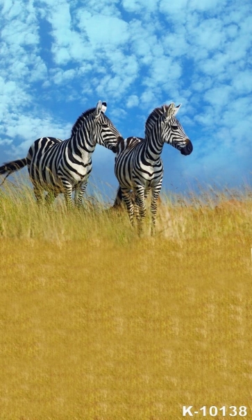 African Safari Zebra Backdrop Photography Party Background