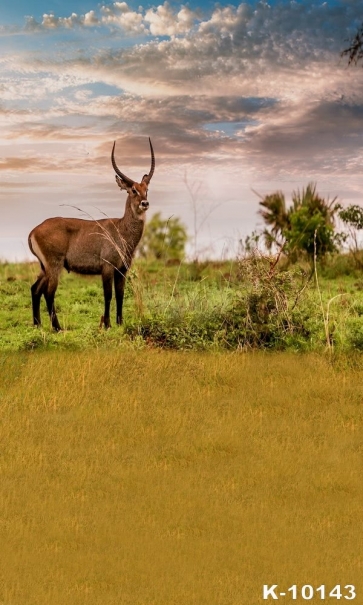 African Safari Antelope Themed Backdrop Photography Party Background