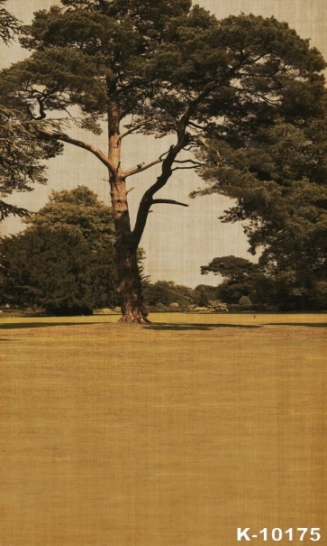 Scenic Big Tree in the Park Vinyl Photography Backdrops