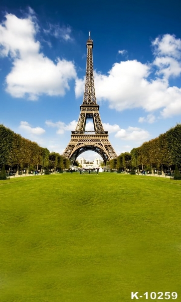 Green Grassland Eiffel Tower Scenic Backdrops for Photography