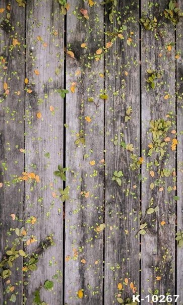 Plant Leaves Wooden Board Attractive Vinyl Personalized Studio Backdrop