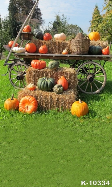 Outdoor Pumpkin Haystack Car Theme Photography Halloween Backdrops