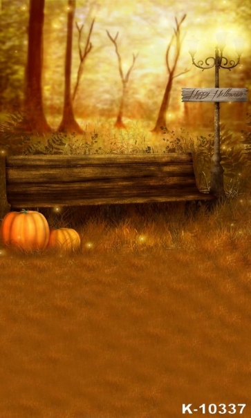 Park Street Light Wooden Bench Pumpkin Vinyl Photography Halloween Backdrops