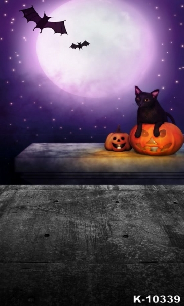  Halloween Moon Bat Cat Pumpkin Theme Vinyl Photography Backdrops