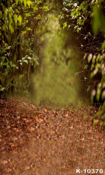 Rustic Forest Road Scenic Background Backdrops for Photography