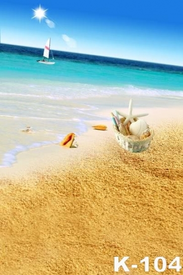 Summer Holiday Shells on the Sandy Beach Sunset Backdrop