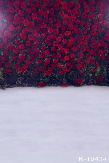 Red Flowers Wall White Floor Affordable Photography Backdrops