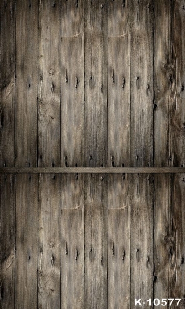 Attractive Wooden Wall Floor Fashion Vinyl Photography Background