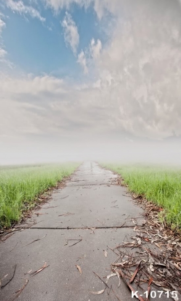 Green Grassland Flagstones Roat Rustic Backdrops for Photography