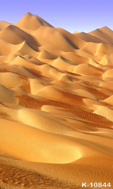 Yellow Sandy Desert Scenic Backdrop Background for Photography