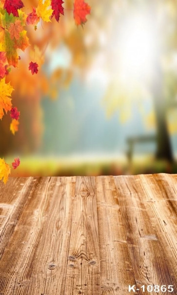 Red Maple Leaves on Left Top Blurred Background Wood Floor Studio Camera Backdrops