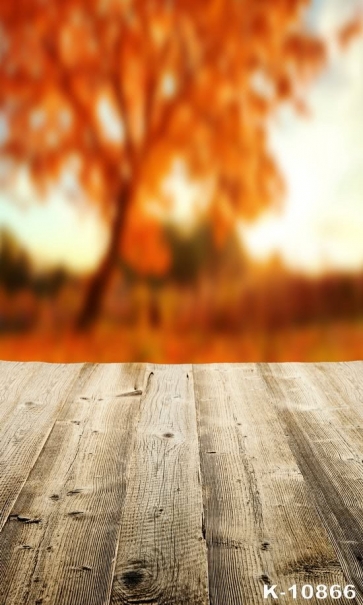 Red Maple Tree Blurred Background Wood Floor Photo Prop Background