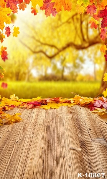 Autumn Fall Yellow Leaves Rustic Wood Floor Camera Backdrops