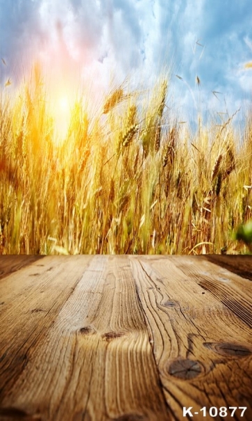 Wheat Field Wood Floor Scenic Studio Picture Backdrop