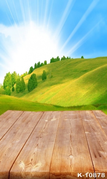 Green Hillside Sunshine Wood Floor Painted Photography Backdrops