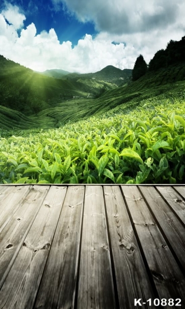 Green Tea Mountain Rustic Scenic Wood Floor Camera Backdrops