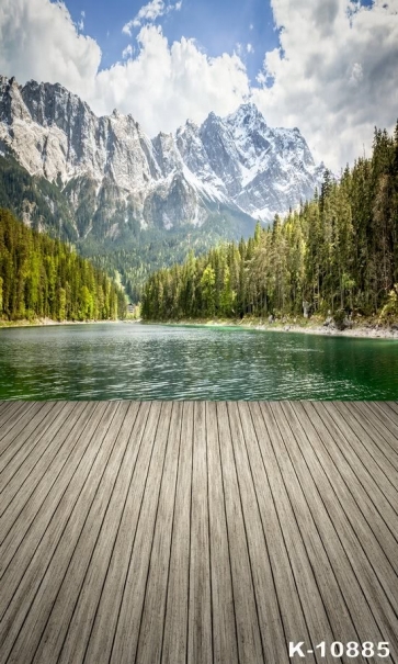 Forest Snowmountain by Lake Scenic Wood Backdrops for Pictures