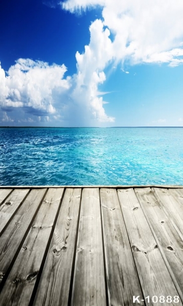 Blue Sky Sea Scenic Wood Floor Photographic Studio Backdrops