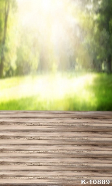 Green Forest Sunshine Blurred Background Wood Floor Photo Backdrop