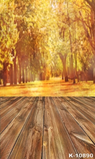 Autumn Yellow Forest Trees Wood Floor Picture Backdrop