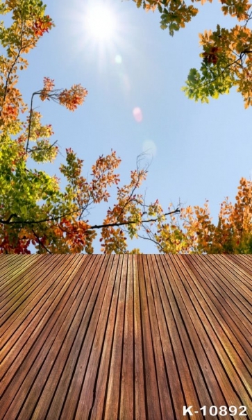 Leaves around Sunshine Wood Floor Camera Backdrops for Photography