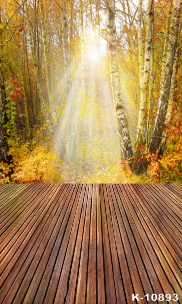 Sunshine Through Yellow Forest Wood Floor Photography Backdrops
