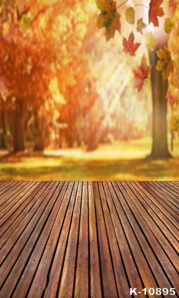 Autumn Fall Red Maple Scenic Wood Floor Studio Backdrops