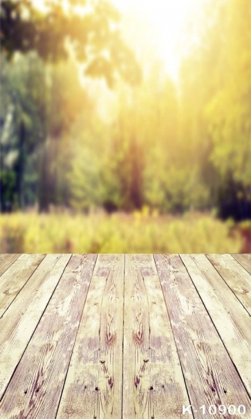 Rustic Forest Blurred Background Wood Photo Drop Background