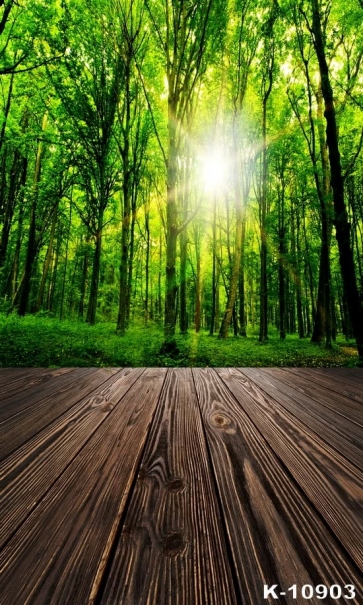 Spring Green Forest Scenic Wood Floor Backdrop Background for Photography