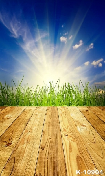 Sunshine Blue Sky Green Grass Wood Photography Background Props