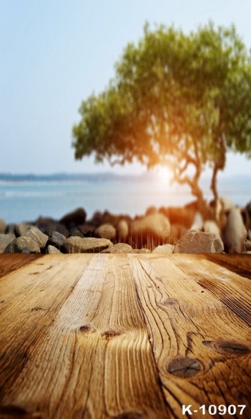 Stones Tree by Seaside Blurred Background Wood Camera Backdrops