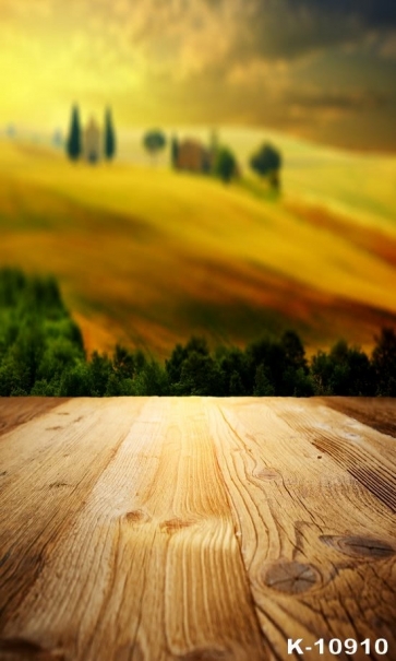 Scenic Rustic Blurred Background Wood Camera Backdrops