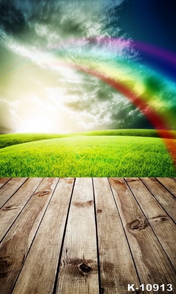 Spring Rainbow over Green Grassland Wood Floor Drop Studios Backdrops