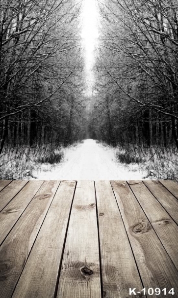 Winter White Snow Path Forest Wood Floor Photography Photo Backdrops
