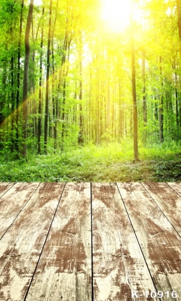 Sunshine Through Green Forest Wood Floor Photo Wall Backdrop