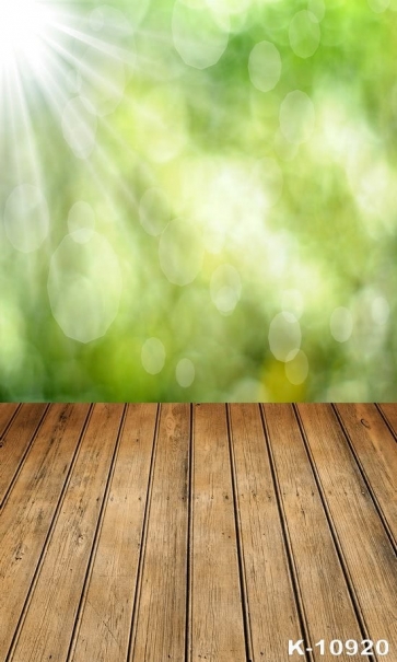Green Background Sunshine Halo Wood Floor Photography Backdrops