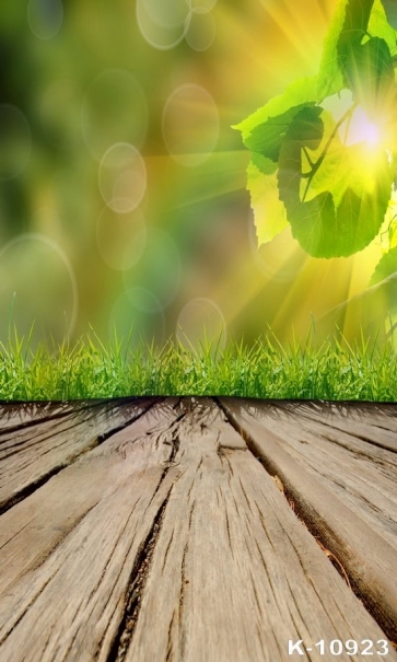 Spring Green Trees Leaves Grass Wood Floor Photographic Backdrops