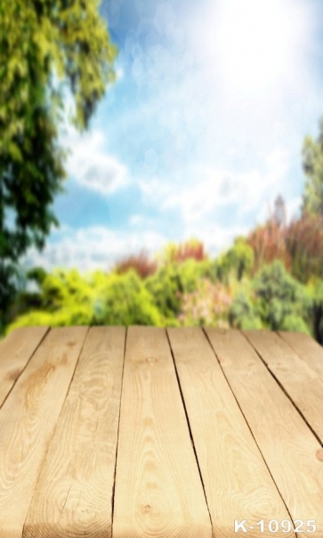 Fuzzy Sunny Day Blue Sky White Clouds Wood Floor Spring Photo Backdrop